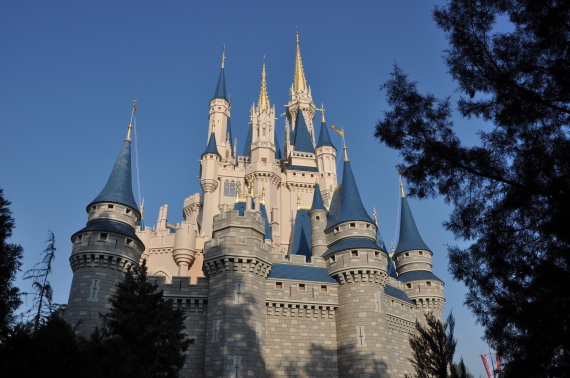 the castle in the magic kingdom
