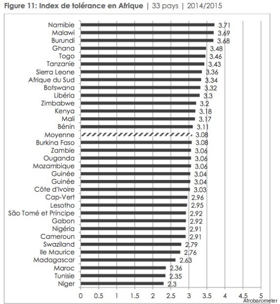 afrobarometer