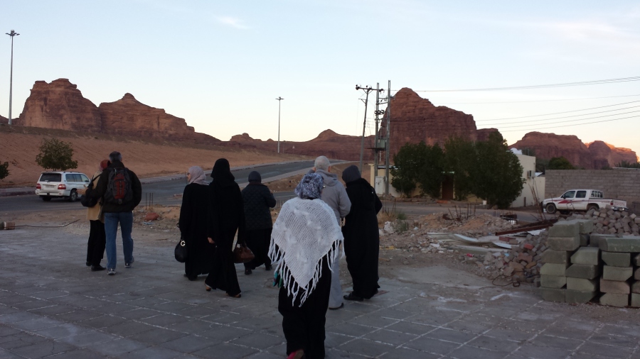 alula