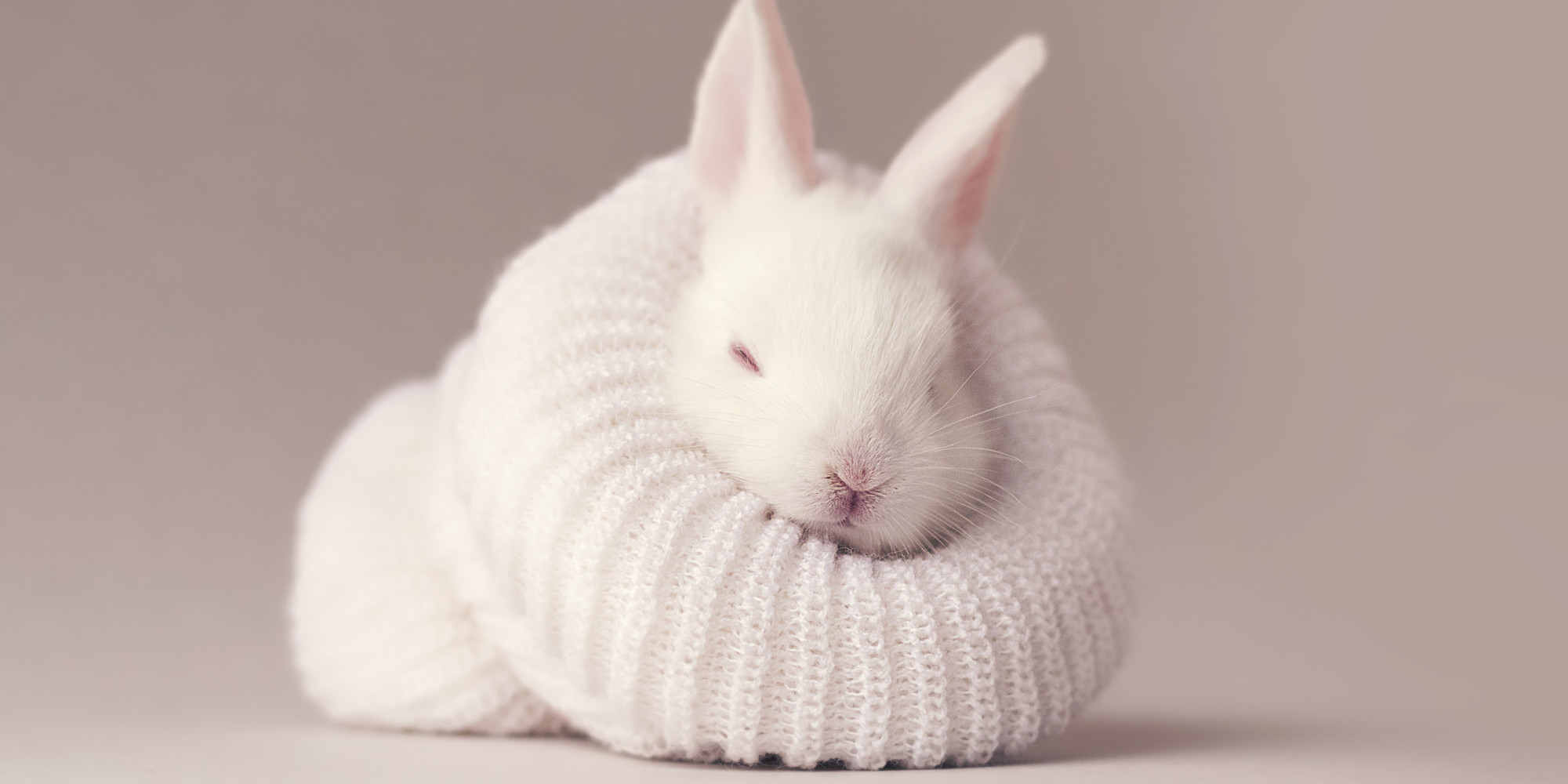 Easter Bunny to Santa Claus: I'm Sick of Your $h*t | HuffPost