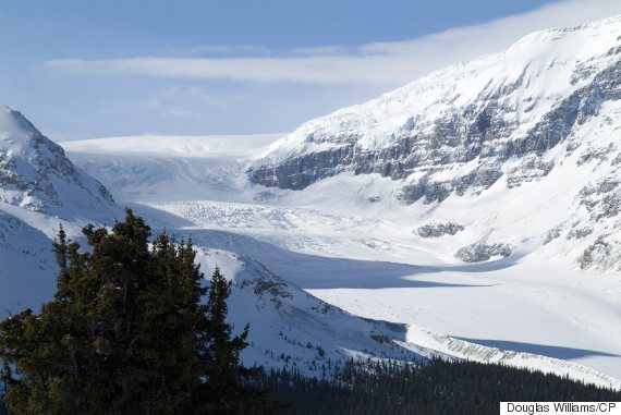 columbia icefield