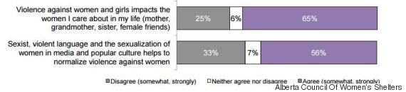 violence against women study