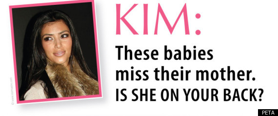 Peta Slams Kim Kardashian
