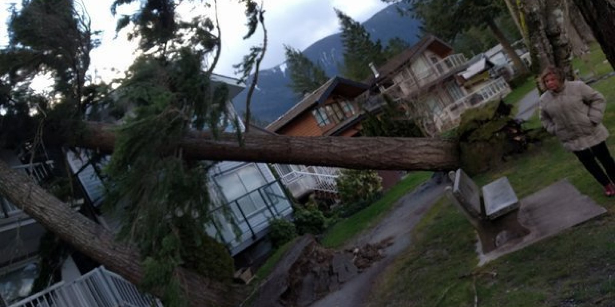 B.C. Storm 2016 Woman Killed As 90Kilometre Winds Pummel Coast