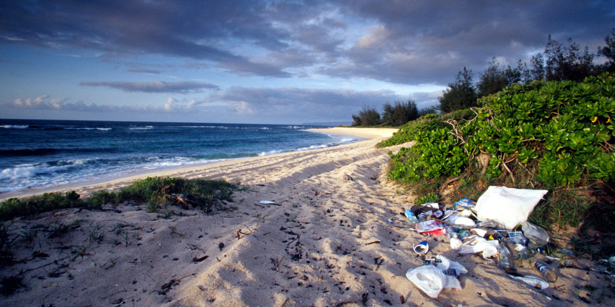 Take Three For The Sea And Keep Our Beaches Clean