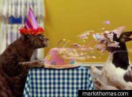  Birthday Cake on Cat Birthday Cake