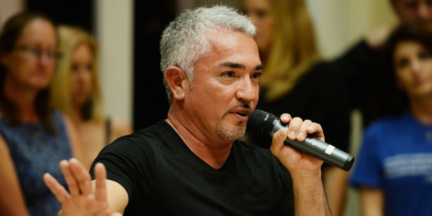 Cesar Millan's Animal Cruelty Investigation Is a Wake Up ...