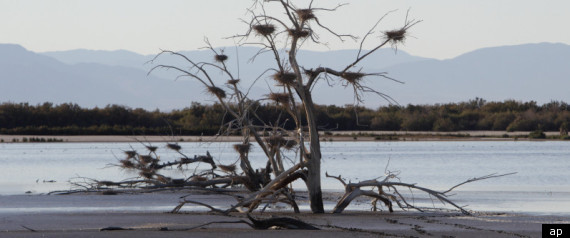 California Water Pact