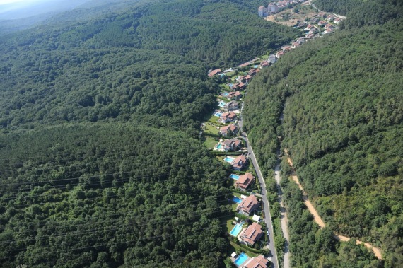 belgrad ormani