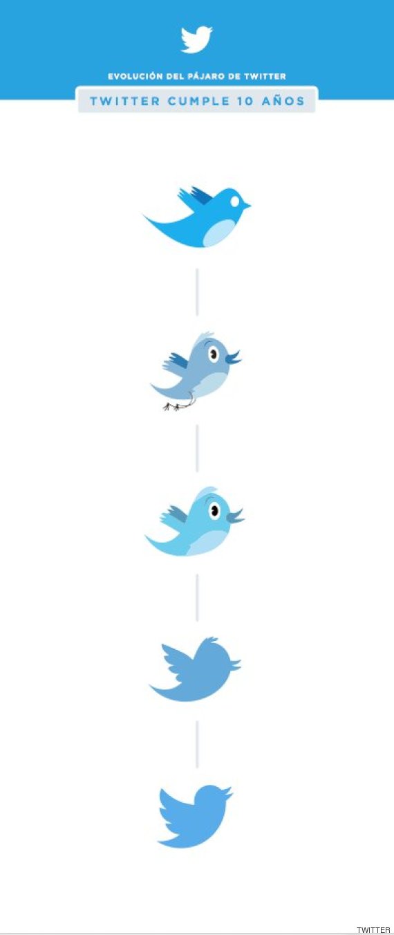 pajaro twitter evolucion