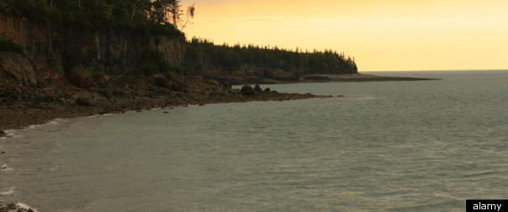 Bay Of Fundy Sinking Boy Survives