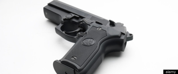 Gun