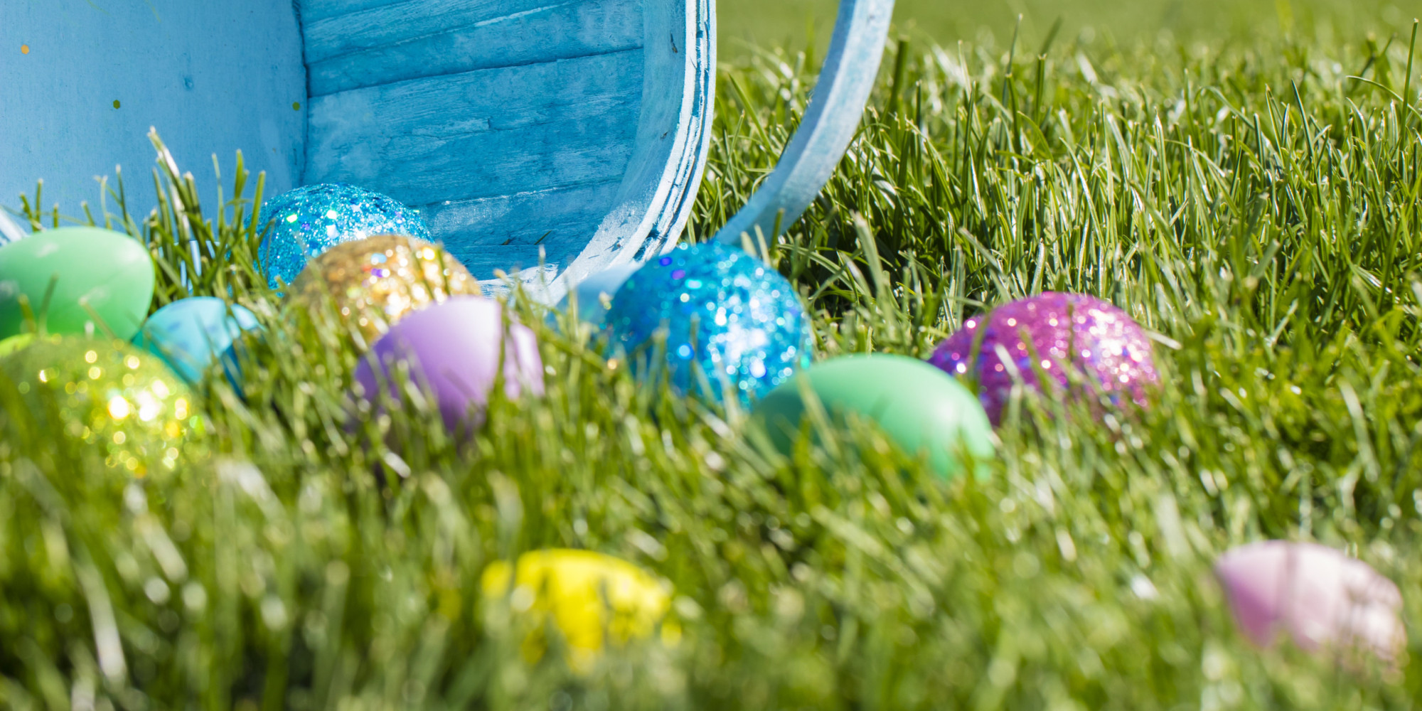 Easter Egg Hunt Pictures 8