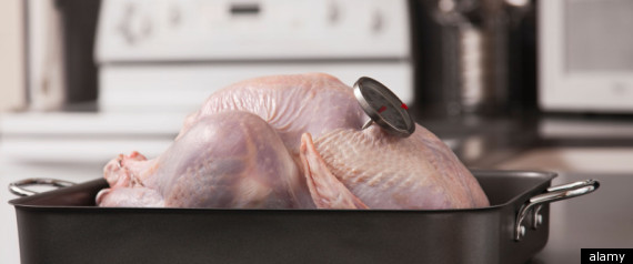 Drug Resistant Bacteria Turkey