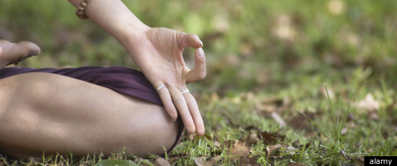 Meditation Brain