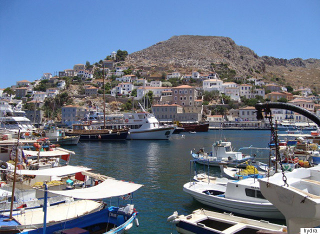 hydra