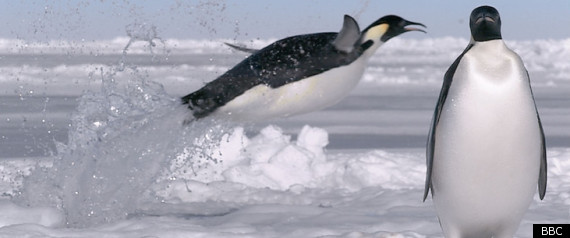 Frozen Planet