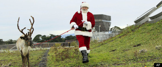 Reindeer On The Roof Of The California Academy Of 