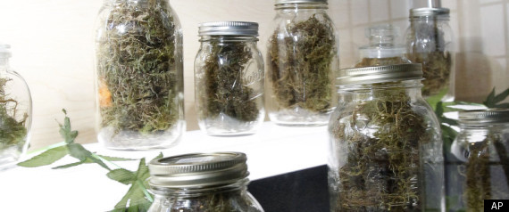 Marin Alliance For Medical Marijuana