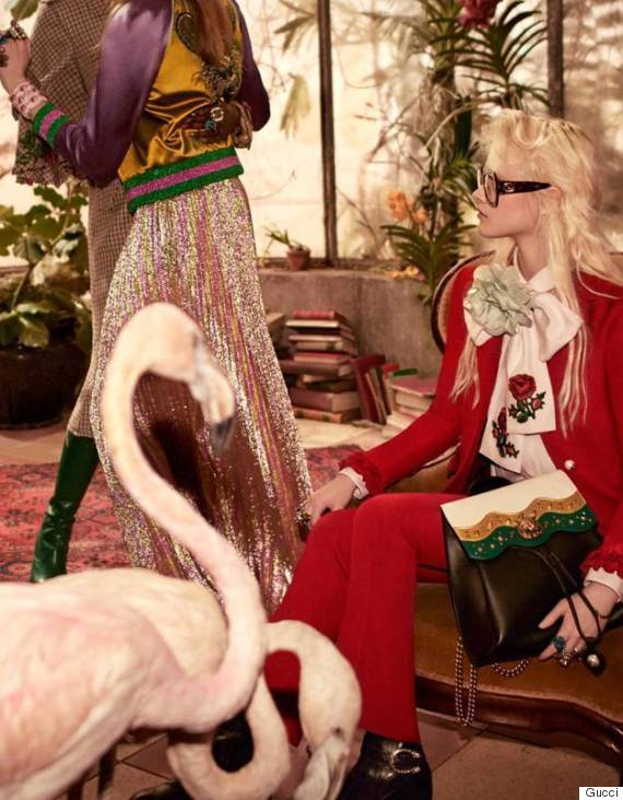 campagne gucci