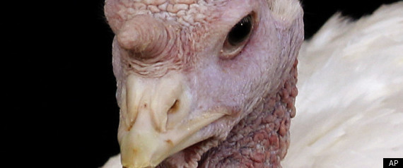 Turkey