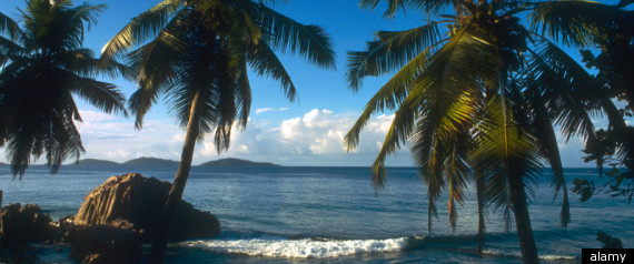 Tropical Beach