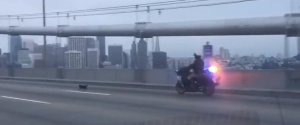 CHIHUAHUA POLICE CHASE