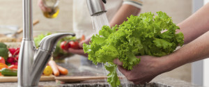 Washing Fruits And Vegetables