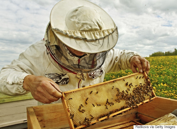 beekeeper