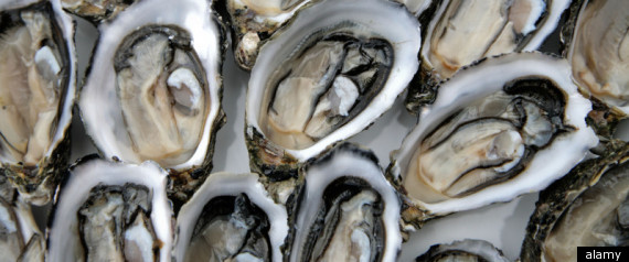 Oysters Norovirus