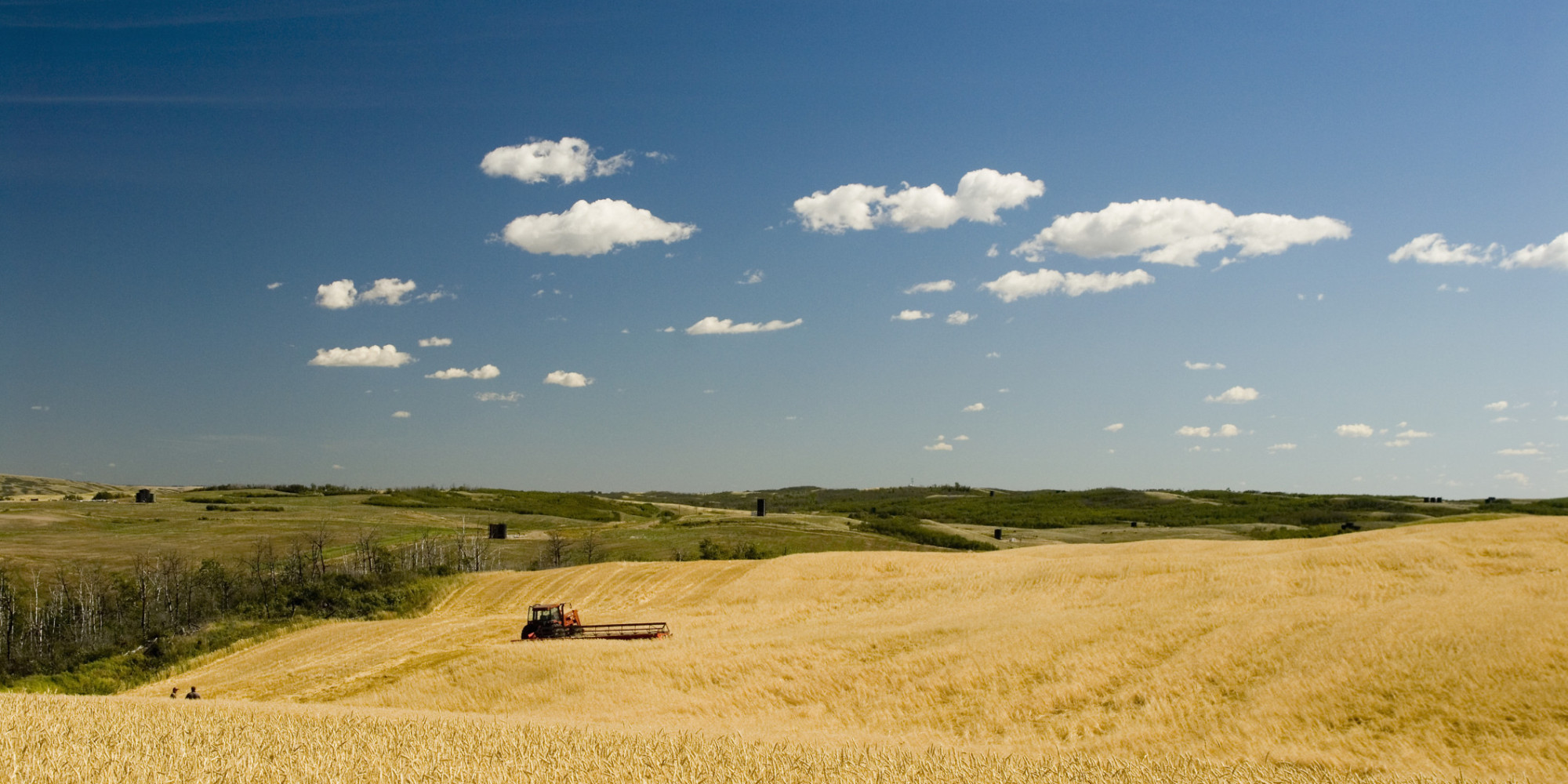 Farmland Prices In Canada Saw A 10 Increase Last Year