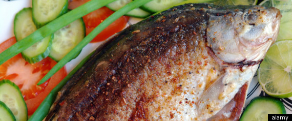 Fish Alzheimers