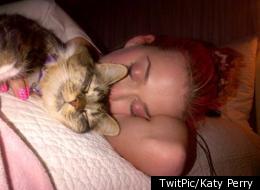 Katy Perry: 'Reunited And It Feels So Good..' 