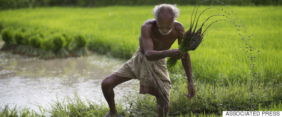 rural india