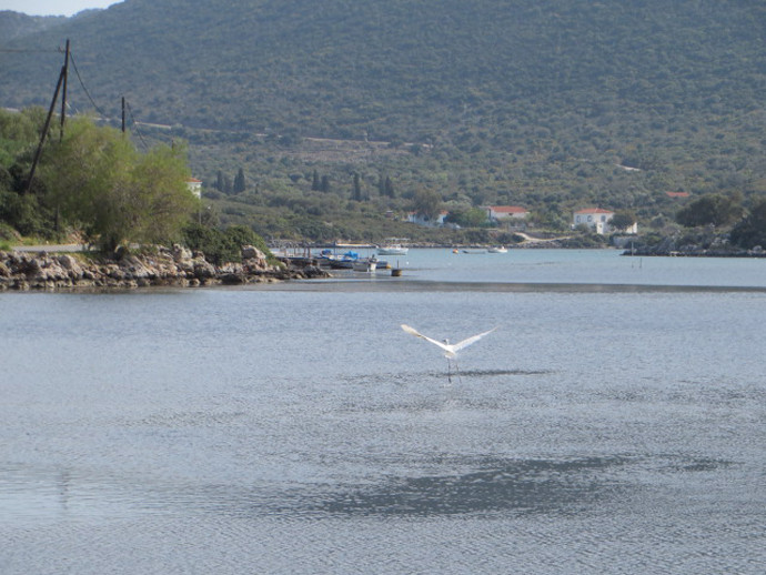 sea