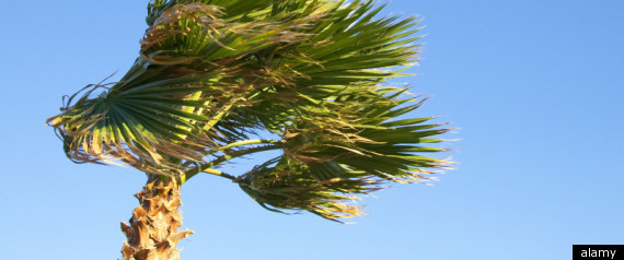 Windy La