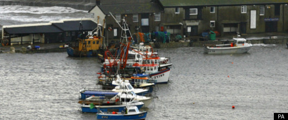 British Fishing