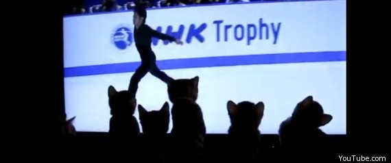 Ice Skating Kittens