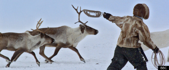 Dolgen Reindeer People