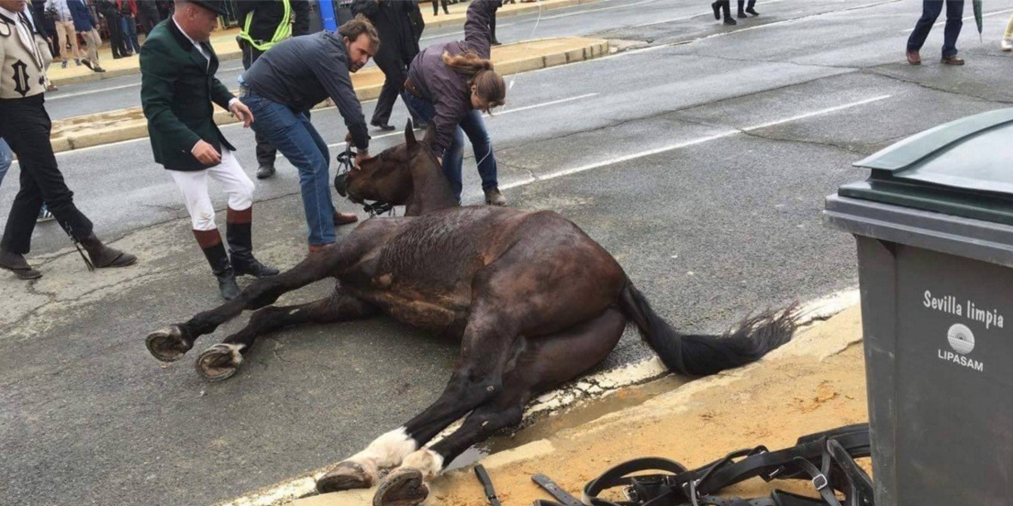 o-CABALLO-FERIA-facebook.jpg