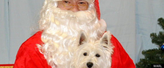 Santa And Dog