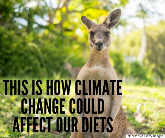 Climate Change Could Change Your Diet Over The Next 30 Years