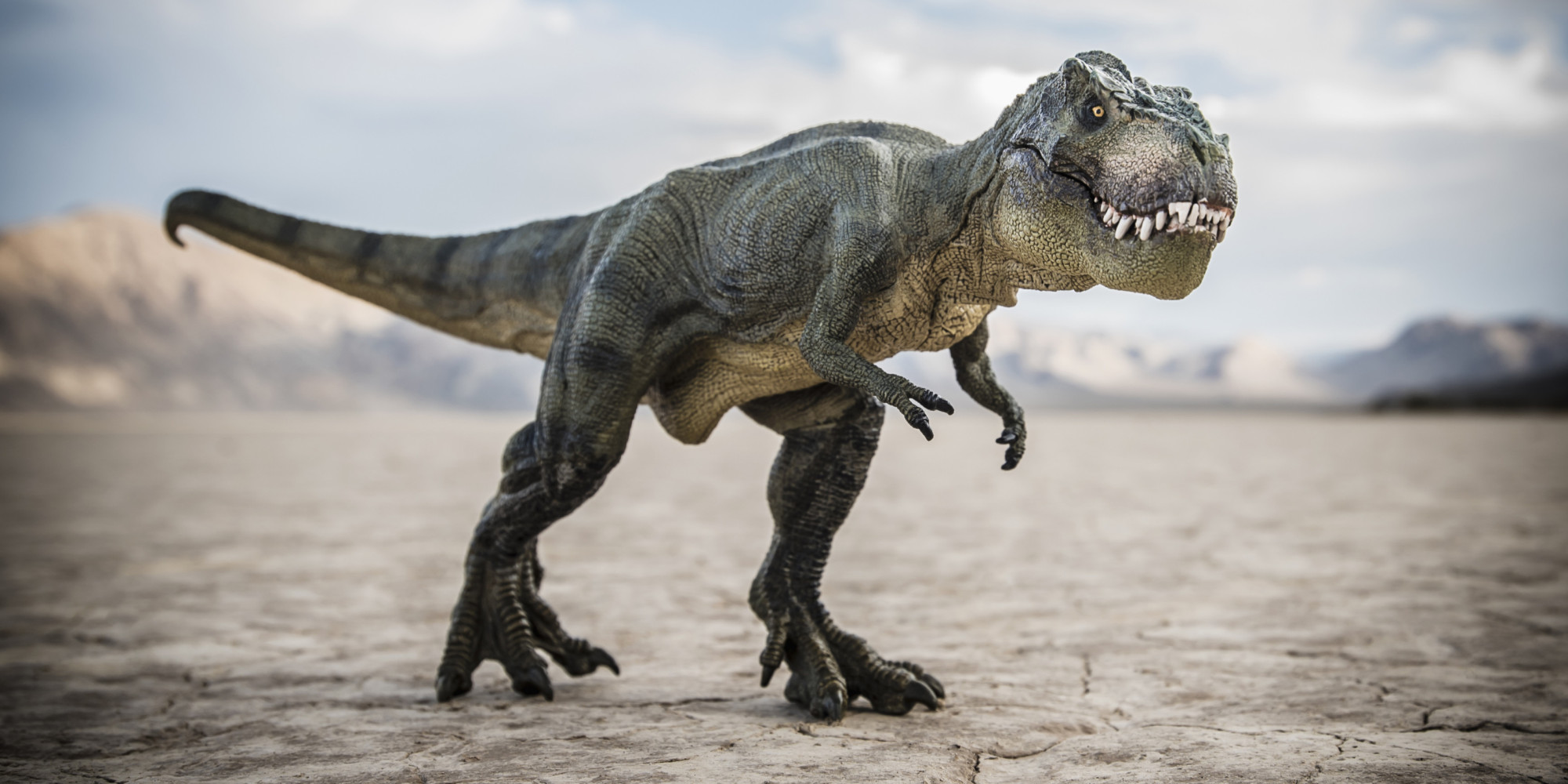 Quel Est Le Dinosaure Le Plus Dangereux Bien avant la chute de l'astéroïde, les dinosaures étaient déjà en
