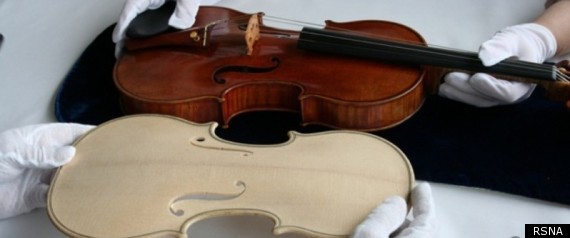 Violin