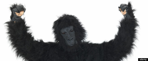 Gorilla Suit