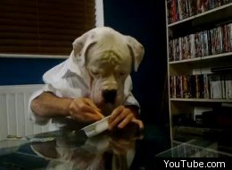 Meet Bizzle, The 'Man With Dog's Head' Who Likes Eating Cheese Crackers (VIDEO)
