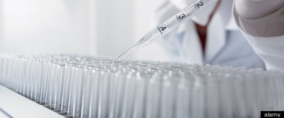 Skin Cancer Discovery