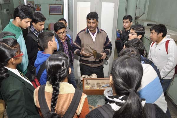 delhi museum