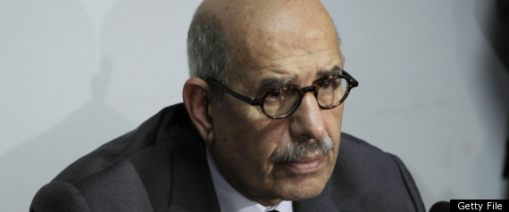 Mohamed Elbaradei Egypt Vote
