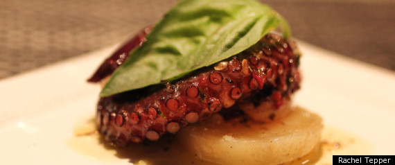 Octopus